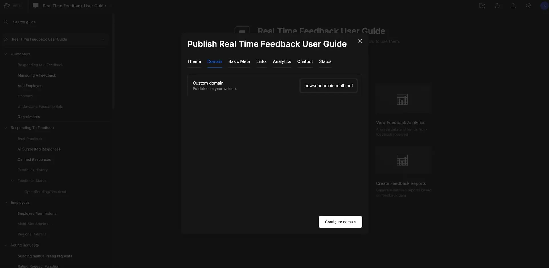 DocsHound Publish Real Time Feedback User Guide Domain tab