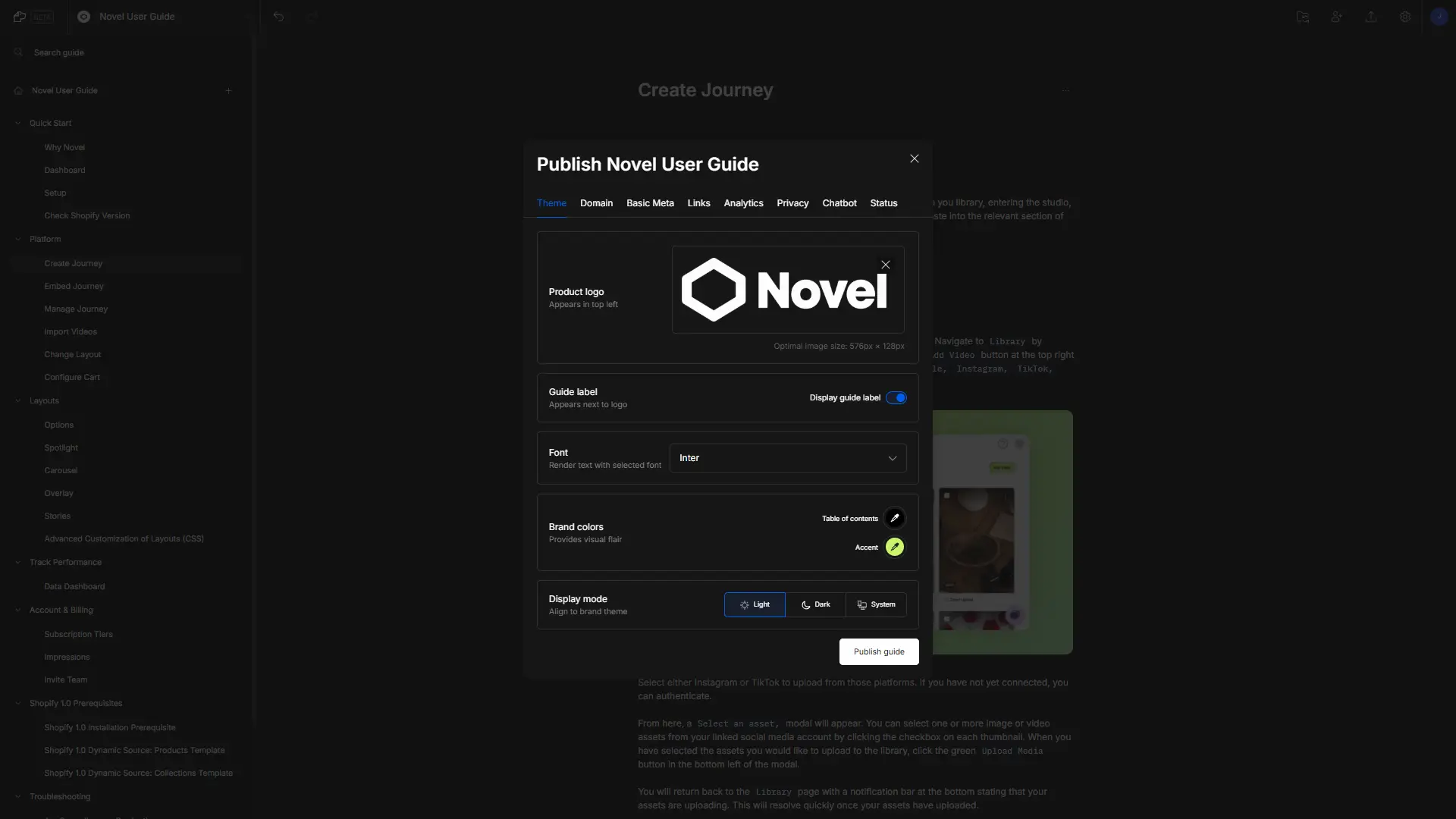 DocsHound Publish Novel User Guide settings window for theme customization.