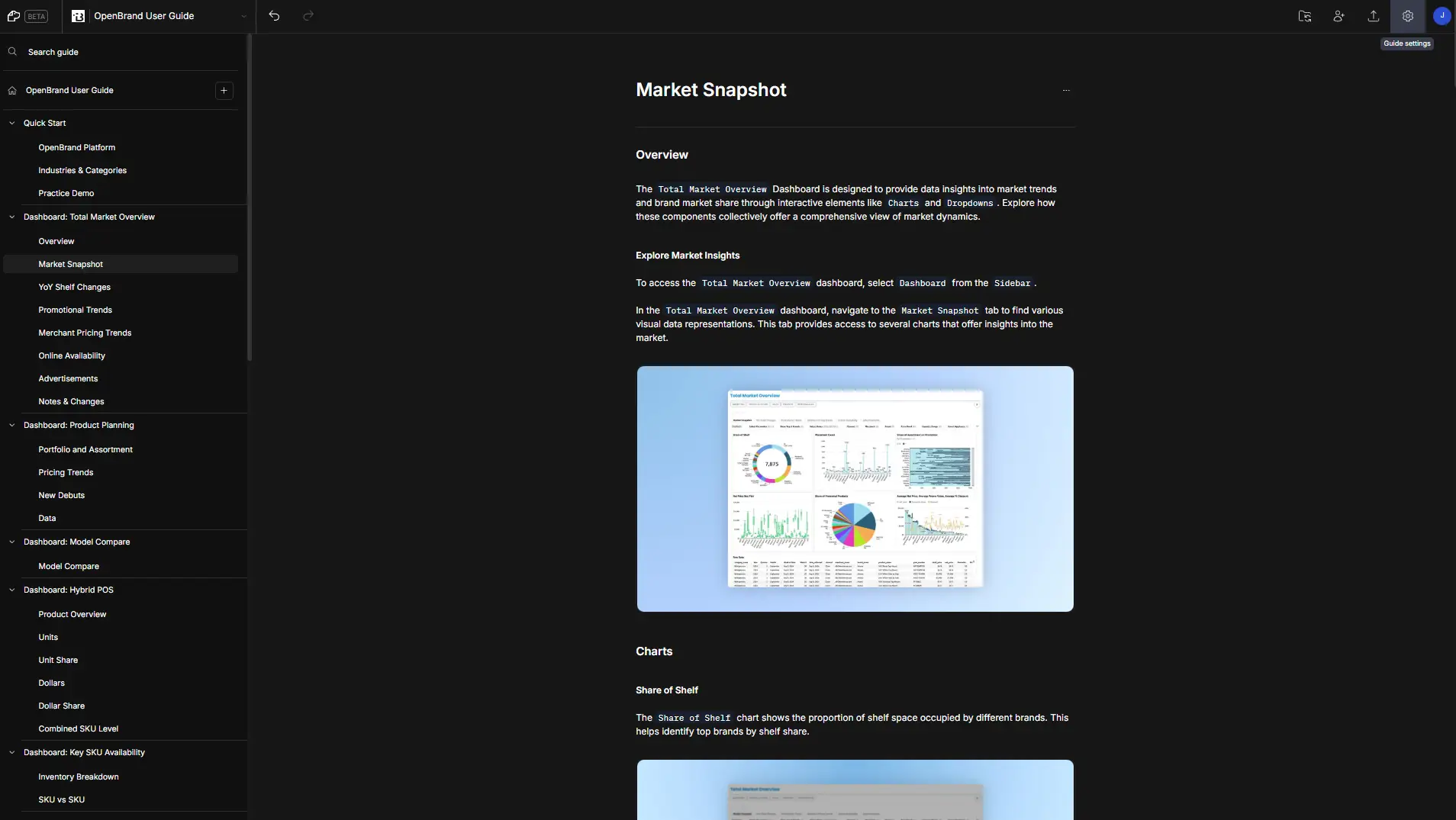 DocsHound OpenBrand User Guide Market Snapshot section with navigation menu and dashboard overview.