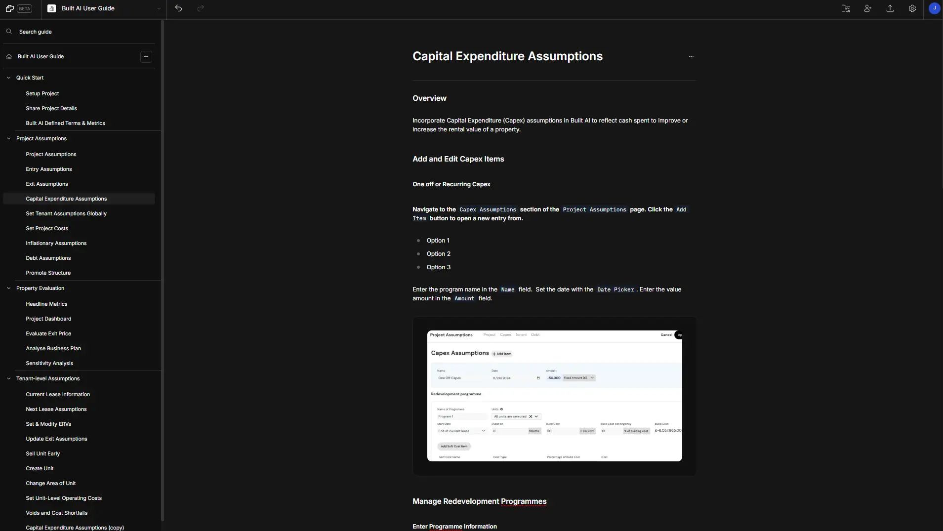 DocsHound Built AI User Guide - Capital Expenditure Assumptions page