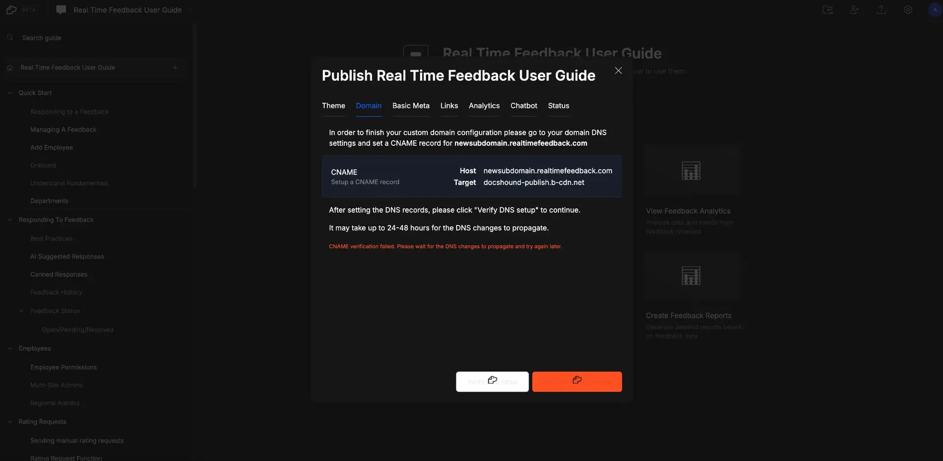 DocsHound Publish Real Time Feedback User Guide Domain tab interface